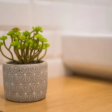 Village * Funchal (Madeira)