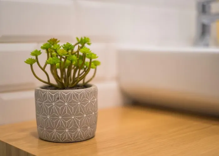 Village * Funchal (Madeira)